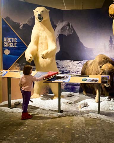 Red River Valley Museum